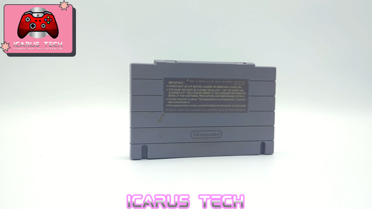 Addams Family Pugsley's Scavenger Hunt | SNES | NTSC | Cart Only